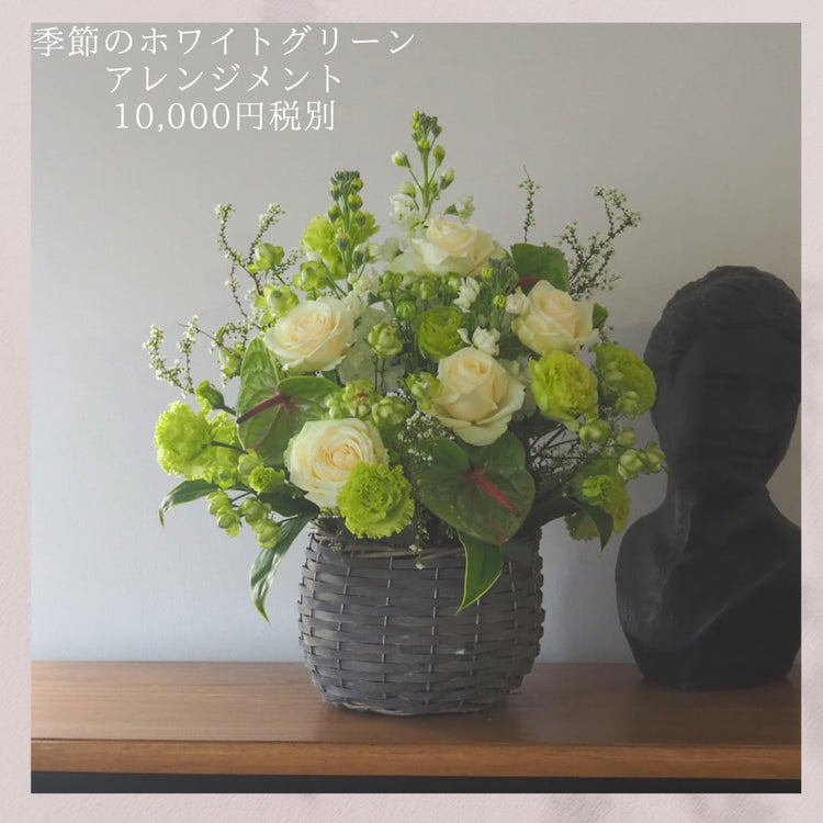 【マンション販売向け:渋谷】季節のおまかせアレンジメント