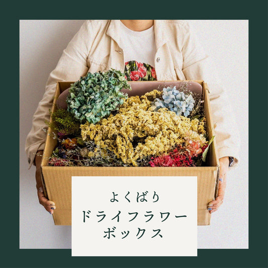 よくばりドライフラワーボックス（100サイズ箱）