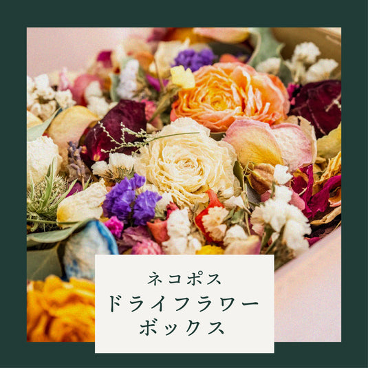 ドライフラワー