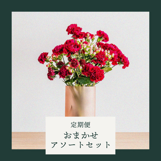 【定期月に１回：おまかせ】アソートセット.
