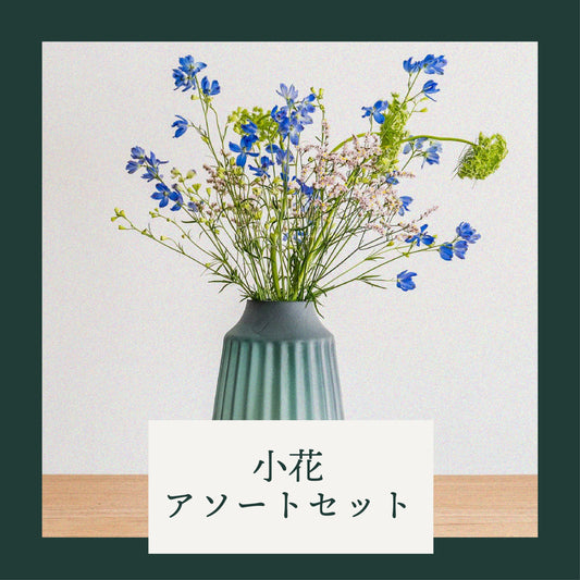 【小花】アソートセット.